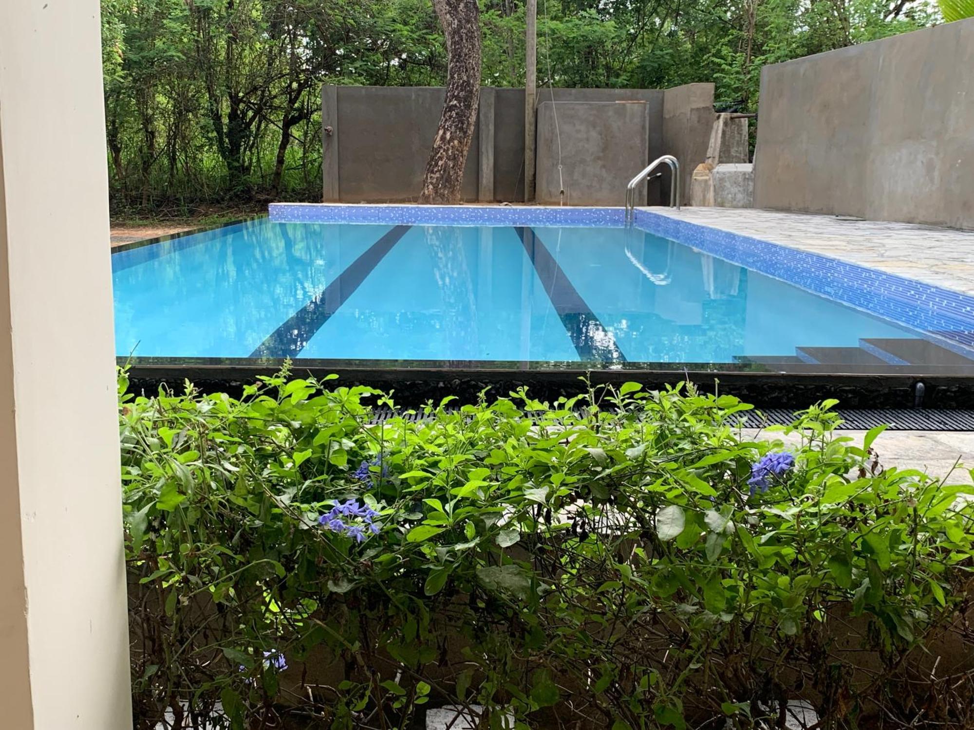 Sigiriya Rock Hide Otel Dış mekan fotoğraf