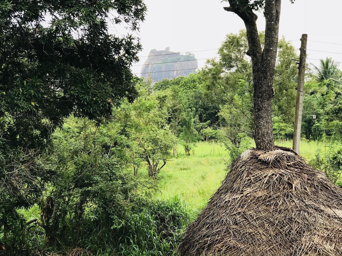 Sigiriya Rock Hide Otel Dış mekan fotoğraf