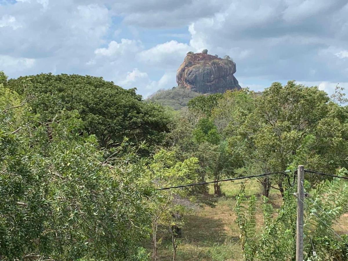 Sigiriya Rock Hide Otel Dış mekan fotoğraf