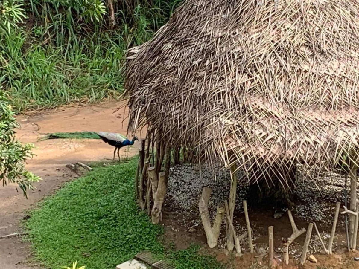 Sigiriya Rock Hide Otel Dış mekan fotoğraf